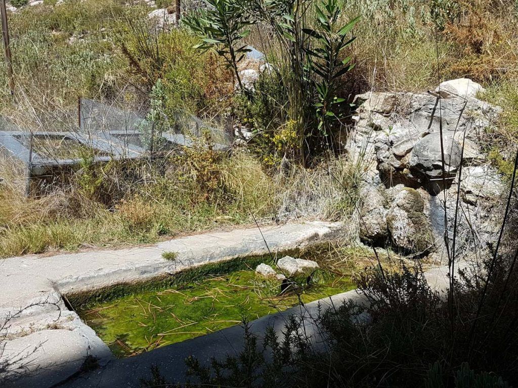 Fuente de La Rábita en Canillas de Aceituno